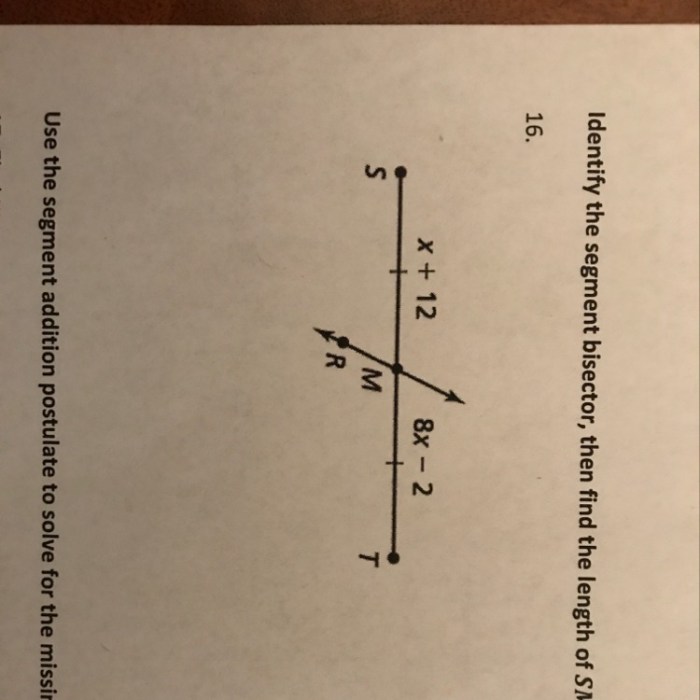 Identify the segment bisector of jk