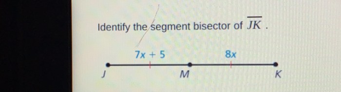 Identify the segment bisector of jk