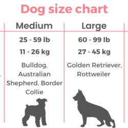 Overweight boned breed diamondpet