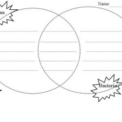 Cells alive bacterial cell worksheet