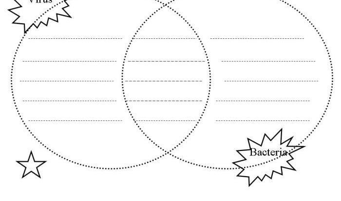 Cells alive bacterial cell worksheet