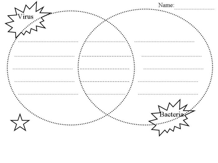 Cells alive bacterial cell worksheet