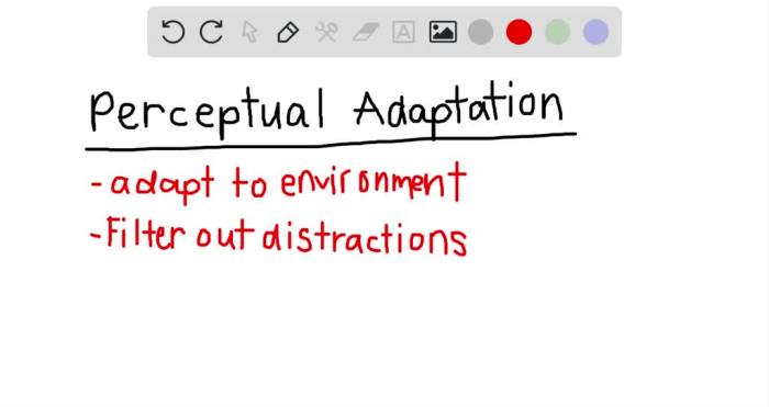 A teacher used distortion goggles