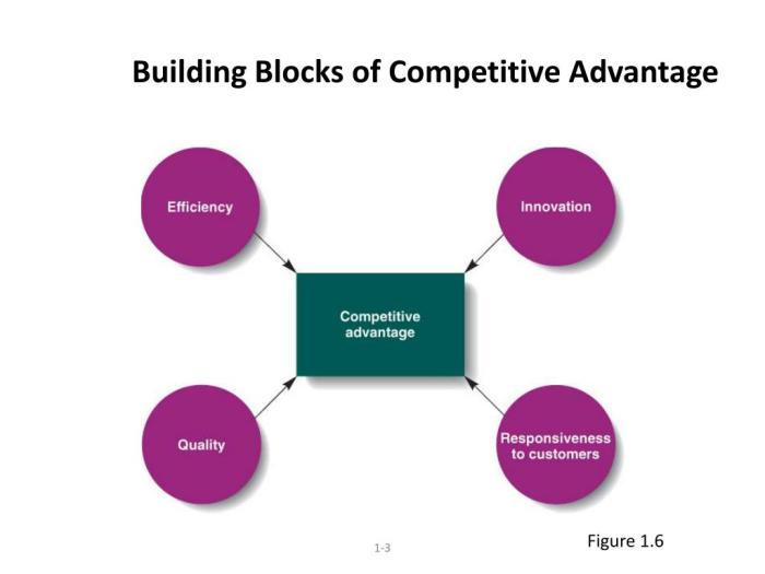 Building blocks of competitive advantage