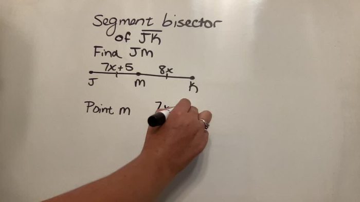 Segment bisector ab identify then find