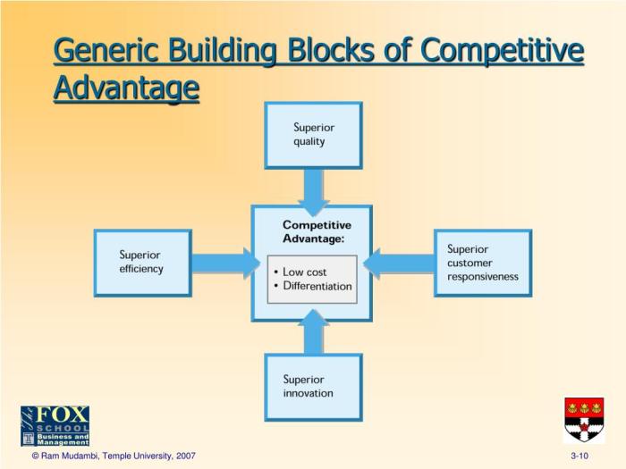 Building blocks of competitive advantage