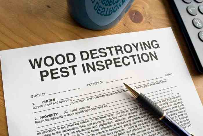 Texas wood destroying insect report