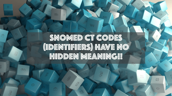 The snomed ct identifier is assigned to