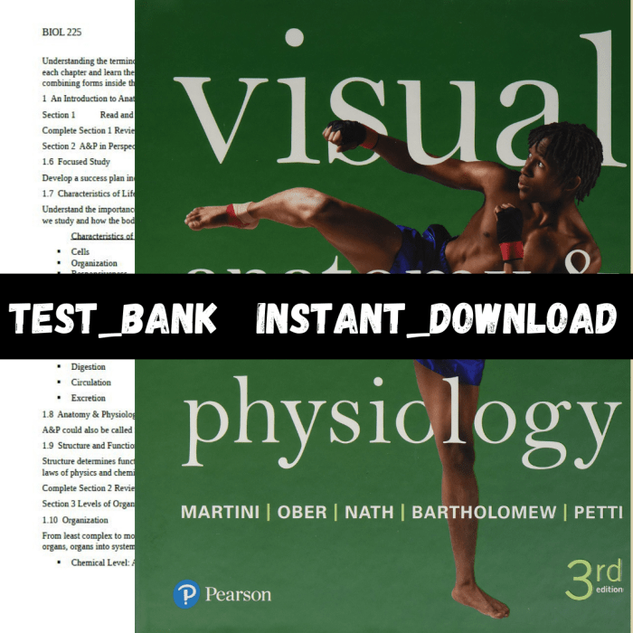 Edition isbn cover anatomy physiology visual