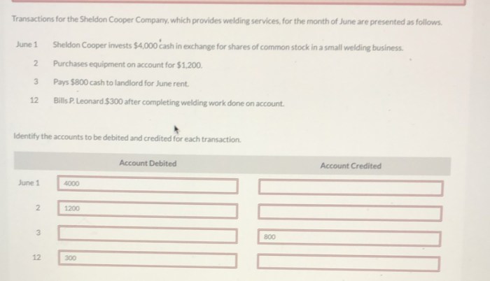 Transactions for the sheldon cooper company