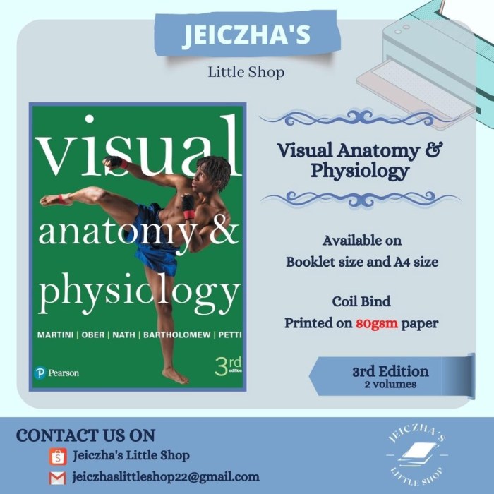 Visual anatomy and physiology 3rd edition free