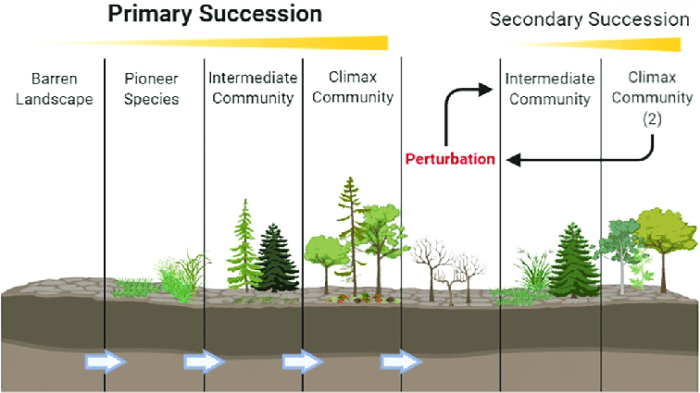 Recycling steps illustrates bins