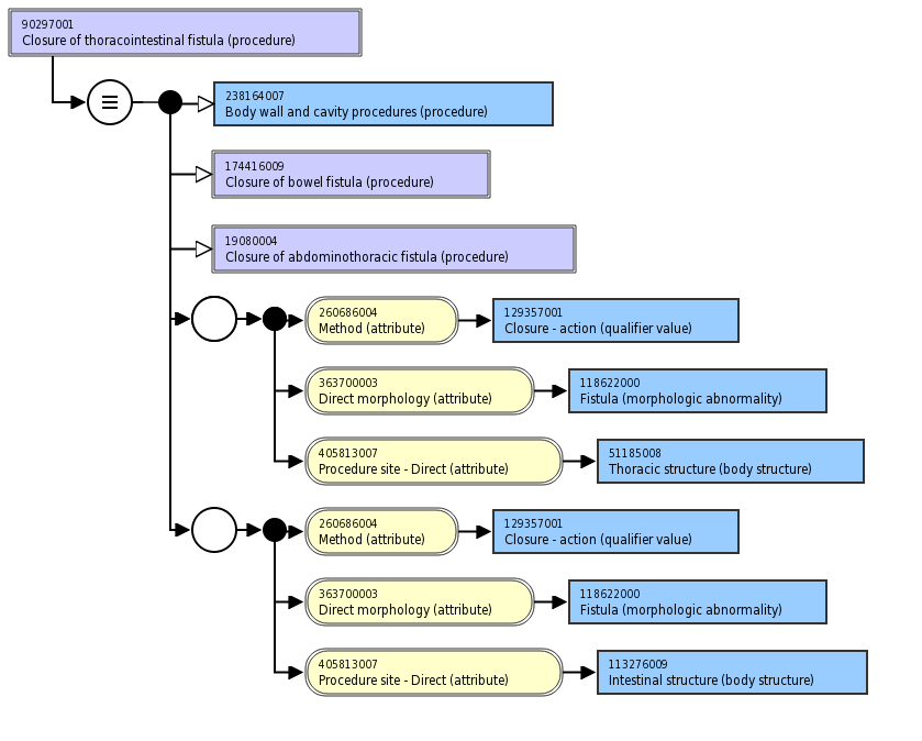 The snomed ct identifier is assigned to