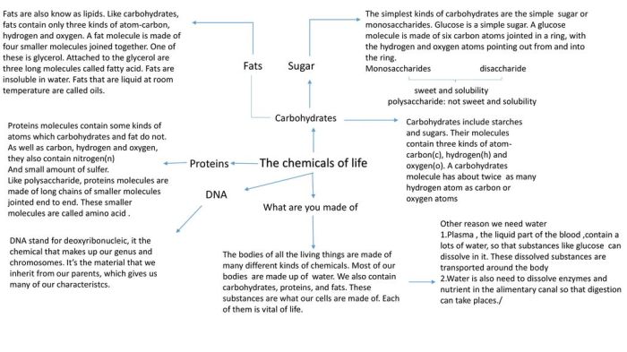 Which statement describes starches fats proteins and dna