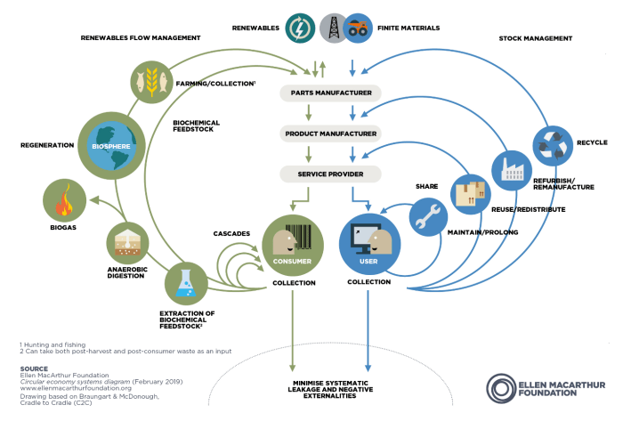 Which diagram illustrates a pioneer community