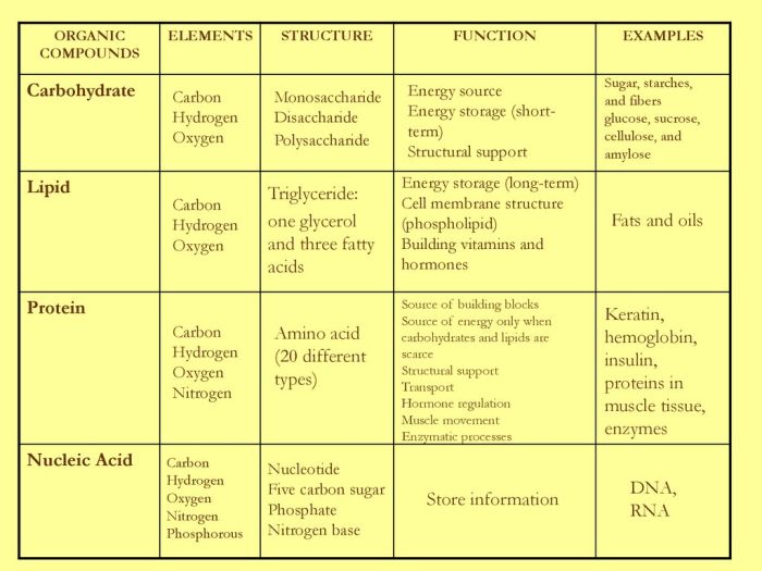 Endocrine