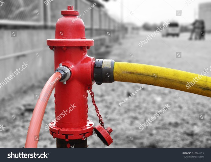 Three fire hoses are connected to a fire hydrant